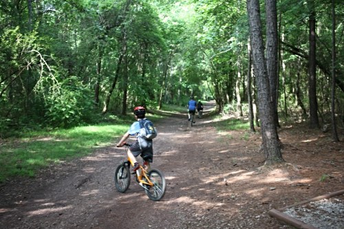 Two cyclists ride along a dirt path through a lush, green forest. Sunlight filters through the trees.