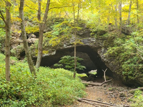 A natural rock arch surrounded by vibrant autumn foliage and lush greenery in a serene forest setting.