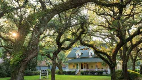 A charming yellow house surrounded by lush trees, with sunlight filtering through the branches in a serene setting.