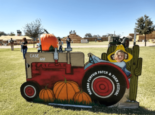 A person peeks out from a tractor cutout at a pumpkin patch festival, surrounded by pumpkins and festive decorations.