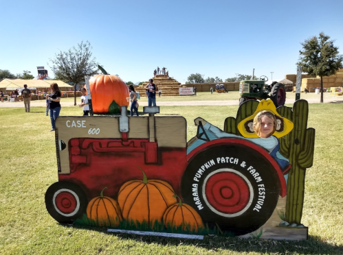 A person peeks out from a tractor cutout at a pumpkin patch festival, surrounded by pumpkins and festive decorations.