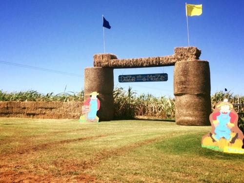 A hay bale archway marks the entrance to a corn maze, with colorful cutouts of farmers and flags waving above.