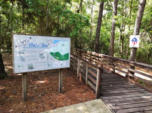 Sign for Week's Bay National Estuarine Research Reserve with a wooden walkway surrounded by trees.