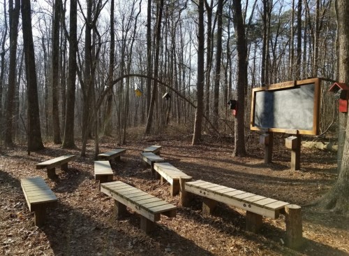 A forest clearing with wooden benches arranged in a circle around a chalkboard, surrounded by trees.
