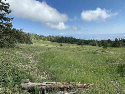 A serene landscape featuring a grassy meadow, scattered trees, and a blue sky with fluffy clouds.