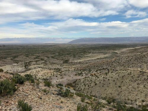 A vast desert landscape with sparse vegetation, rolling hills, and a cloudy sky in the background.