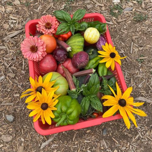 A red basket filled with colorful vegetables, fruits, and flowers, resting on a brown, earthy surface.