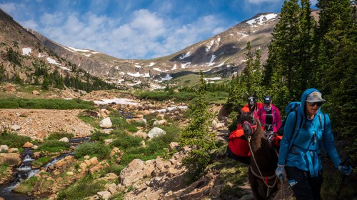 A group of hikers with llamas trek through a scenic mountain landscape with a river and snow-capped peaks.