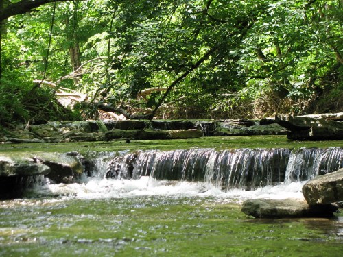A serene stream flows over rocks, surrounded by lush green trees and foliage in a peaceful natural setting.