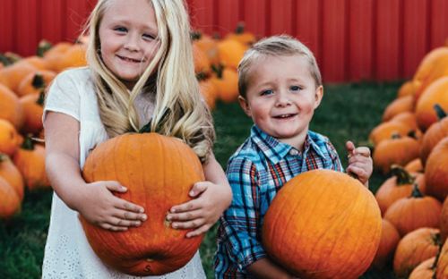 Two children smile while holding large pumpkins in a pumpkin patch, surrounded by many pumpkins and a red barn in the background.