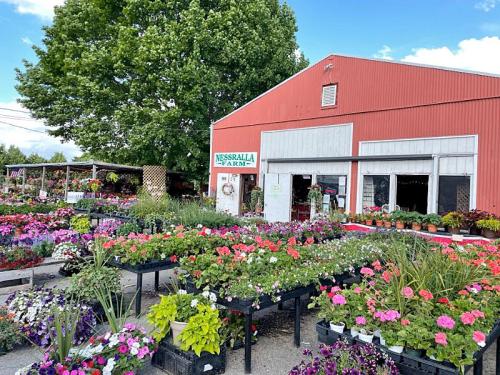 A vibrant flower shop with colorful plants and flowers displayed outside, set against a red barn-like building.
