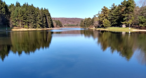 A serene lake surrounded by lush trees, reflecting the clear blue sky and distant hills.