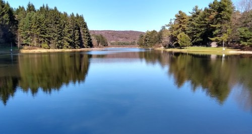A serene lake surrounded by lush trees, reflecting the clear blue sky and distant hills.