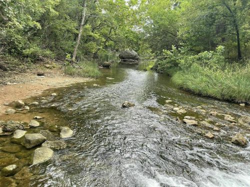 A serene river flows through a lush green forest, with rocks scattered along the water's edge.