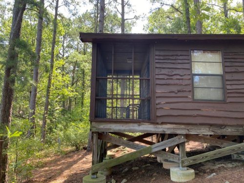 A rustic wooden cabin on stilts, surrounded by tall trees and greenery, with a screened porch and a single window.