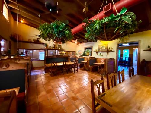 Cozy restaurant interior with wooden tables, hanging plants, and warm lighting, featuring a rustic design.