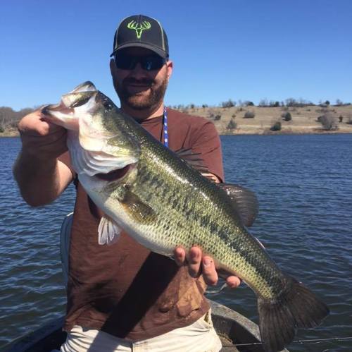 A person holding a large bass fish while standing on a boat in a lake on a sunny day.