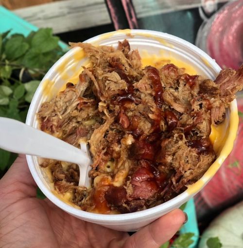 A hand holding a cup of pulled pork topped with barbecue sauce and melted cheese.