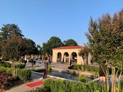 People practicing yoga outdoors in a garden with a fountain and trees under a clear blue sky.