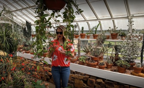 A woman in sunglasses stands among lush plants in a greenhouse, surprised by the greenery around her.
