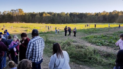 A crowd of people in a pumpkin patch, with families and children enjoying the outdoors on a sunny day.