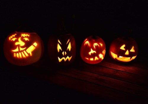 Four carved pumpkins with different spooky faces, glowing warmly against a dark background.