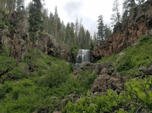 A serene waterfall cascades down rocky cliffs, surrounded by lush greenery and tall pine trees.
