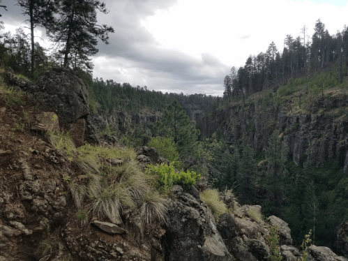 A rocky landscape with tall trees and a deep canyon under a cloudy sky.