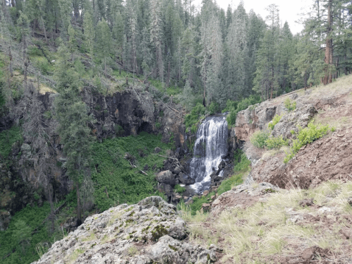 A serene waterfall cascades down rocky cliffs, surrounded by lush greenery and tall pine trees.