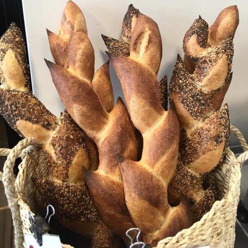 A basket filled with golden-brown, twisted breadsticks topped with sesame seeds.