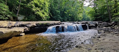 A serene river flows over rocks, surrounded by lush green trees in a peaceful natural setting.