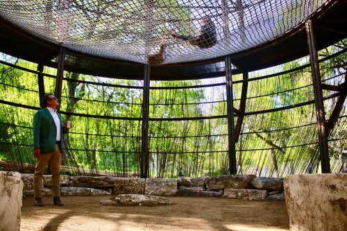 A man in a green jacket stands inside a circular structure with a netted ceiling, surrounded by greenery.