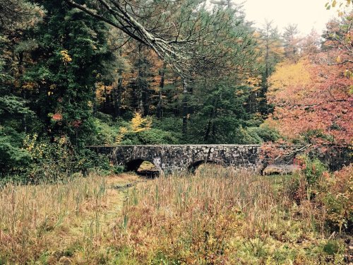 A stone bridge arches over a serene landscape of autumn foliage and tall grasses in a wooded area.