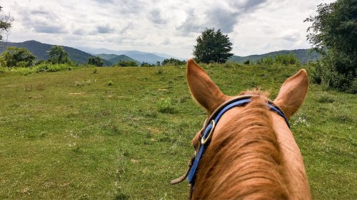 View from a horse's back, overlooking a grassy field and distant mountains under a cloudy sky.