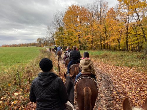 A group of people riding horses along a trail lined with colorful autumn trees and fallen leaves.