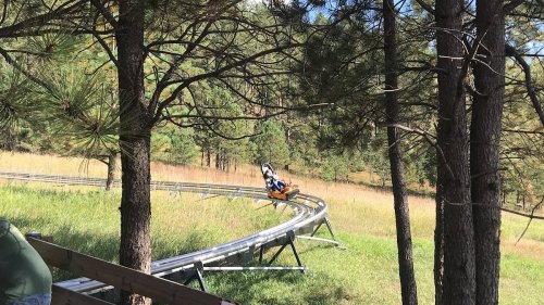A person rides a mountain coaster on a winding track through a forested area with tall trees and grassy fields.