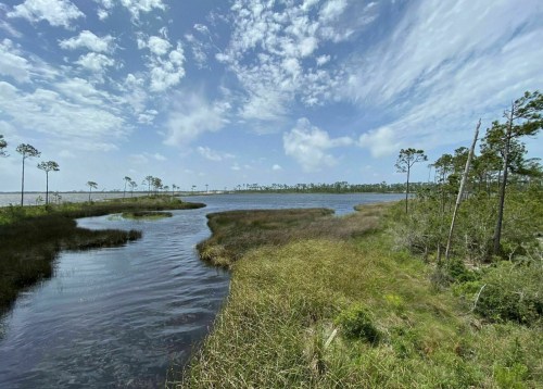 A serene landscape featuring a winding river surrounded by lush greenery and trees under a partly cloudy sky.