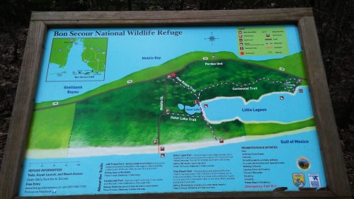 Map of Bon Secour National Wildlife Refuge, showing trails, waterways, and key locations in the area.