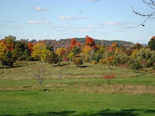 A scenic landscape featuring rolling hills, vibrant autumn trees, and a clear blue sky.