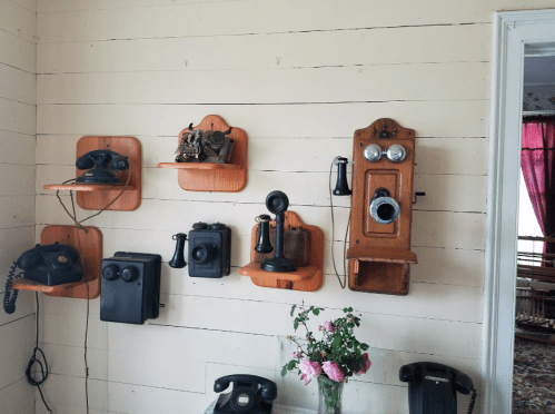 A wall display featuring various vintage telephones on wooden shelves, with a vase of flowers in the foreground.
