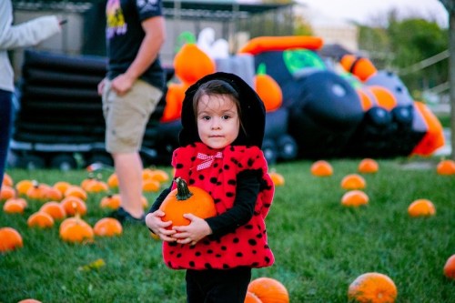 A young child in a ladybug costume holds a pumpkin, surrounded by pumpkins and inflatable decorations in a festive setting.