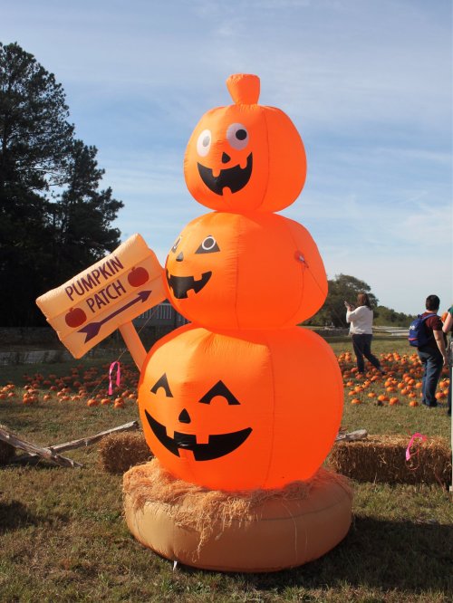 A stack of three large, inflatable pumpkins with smiling faces, next to a sign that says "Pumpkin Patch."