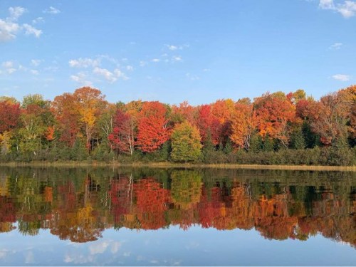 A serene lake reflecting vibrant autumn foliage and a clear blue sky.