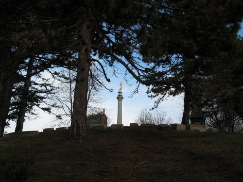 A tall monument with a statue atop, surrounded by trees and a grassy hill under a blue sky.