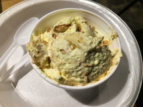 A cup of creamy ice cream with chunks of cake, served with a plastic spoon on a white foam plate.