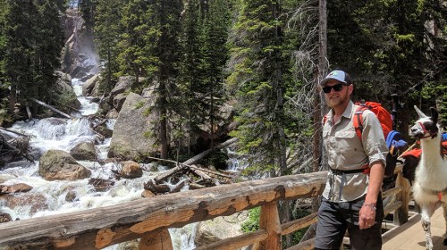 A hiker with a backpack walks along a wooden bridge near a waterfall, accompanied by a llama in a forested area.