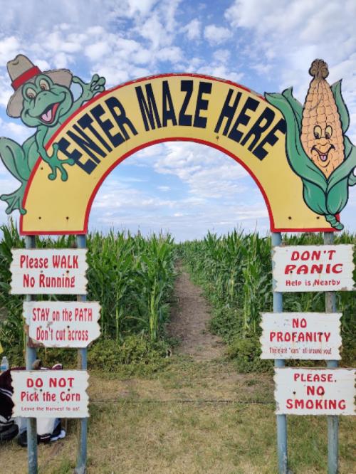 A colorful sign at the entrance of a corn maze, featuring cartoon frogs and corn, with rules for visitors.