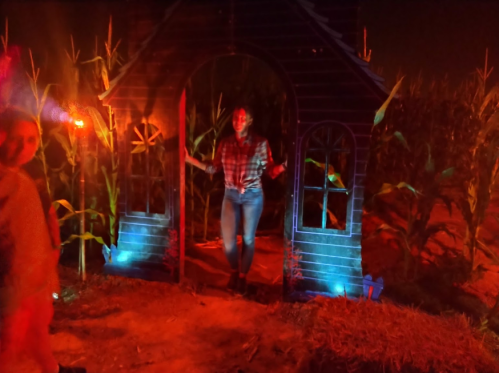 A person stands at the entrance of a spooky, dimly lit house surrounded by tall corn stalks.