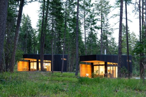 Two modern cabins with warm lighting nestled among tall trees in a forested area.