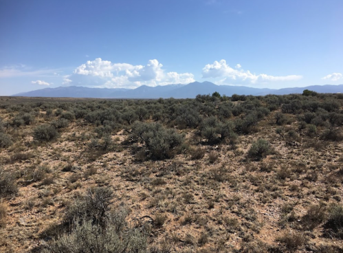 A vast desert landscape with sparse vegetation and distant mountains under a blue sky with clouds.